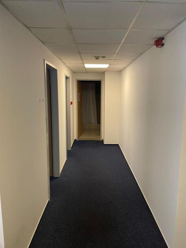 בודפשט Viola Hostel מראה חיצוני תמונה
